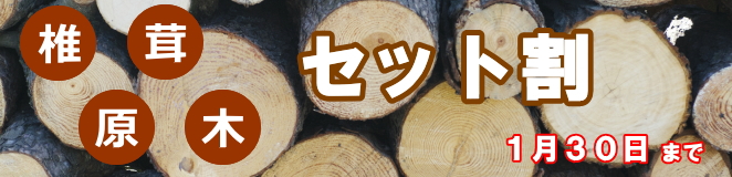 椎茸原木キャンペーン